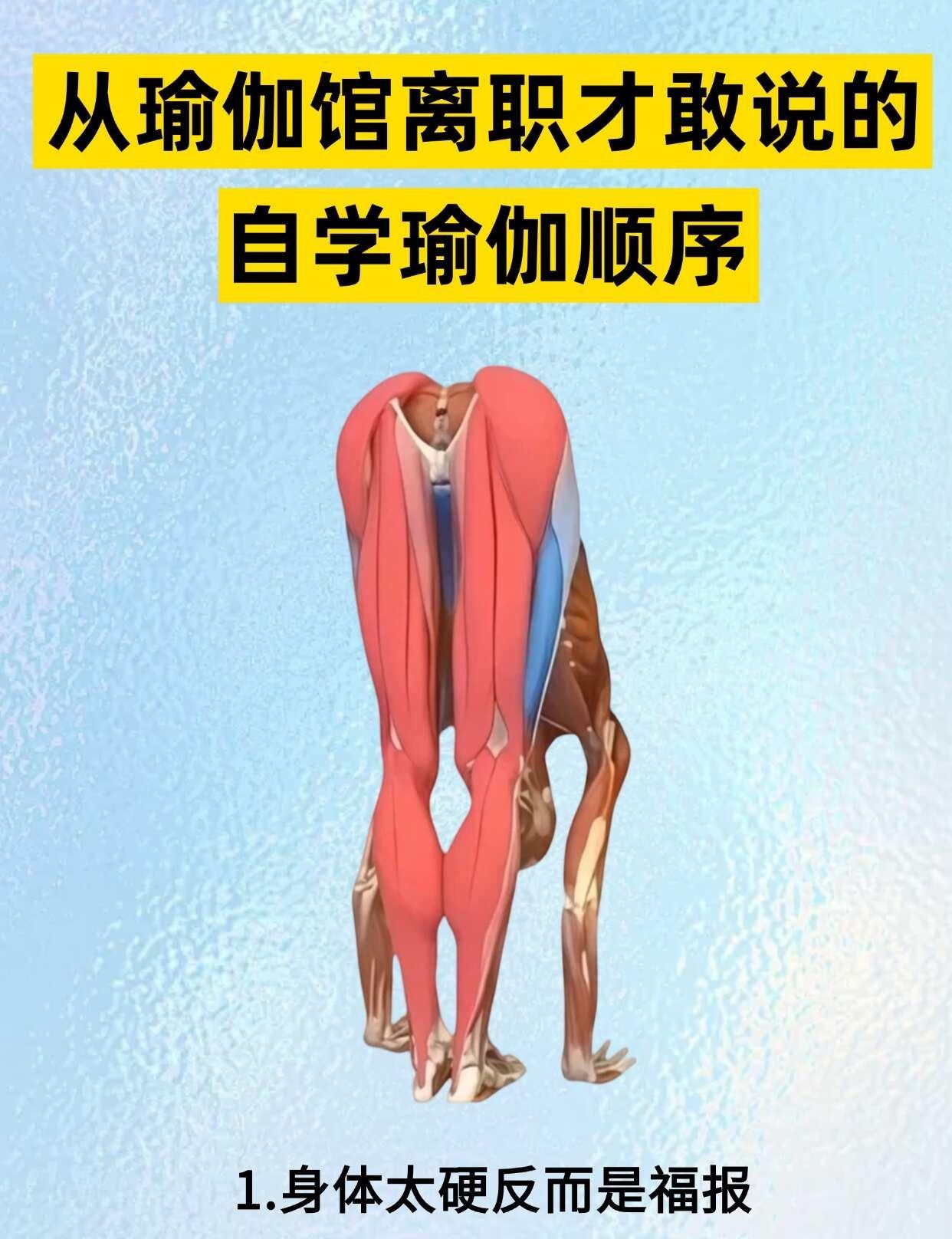 从瑜伽馆离职才敢说的，自学瑜伽顺序！
瑜伽大实话 自学瑜伽 零基础学瑜伽 瑜伽小