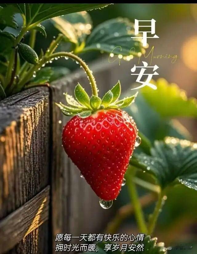 🍎²⁰²⁶/₀₅.₀₈ ᵕ̈ᵕ̈🧨🐎🍃🌻
🍃𝐆𝐨𝐨𝐝 𝐌?