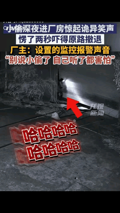 湖南长沙，一男子半夜偷偷潜入一家厂房准备图谋不轨，没成想，刚从大门钻进去，就听到