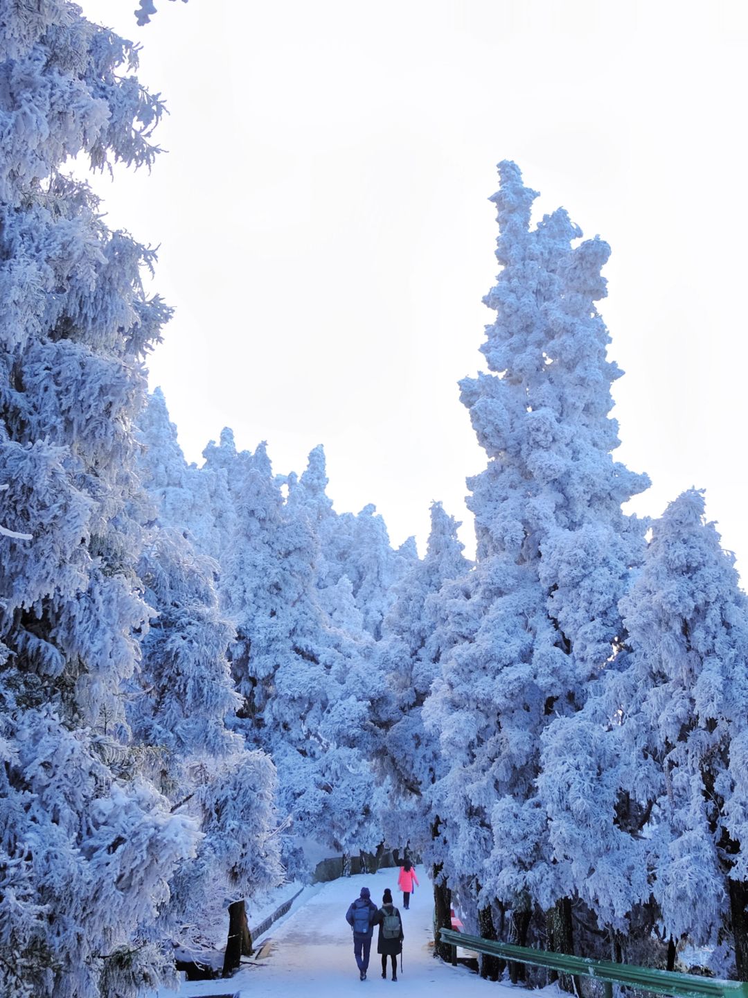元旦看雪！9个赏雪地！z近广深1.5h直达！
