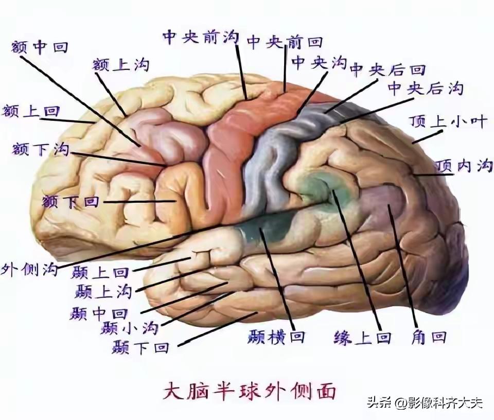生物医学应该好好发展，就会出现超人。
可以制作生物载体的芯片，植入人脑，把所有基