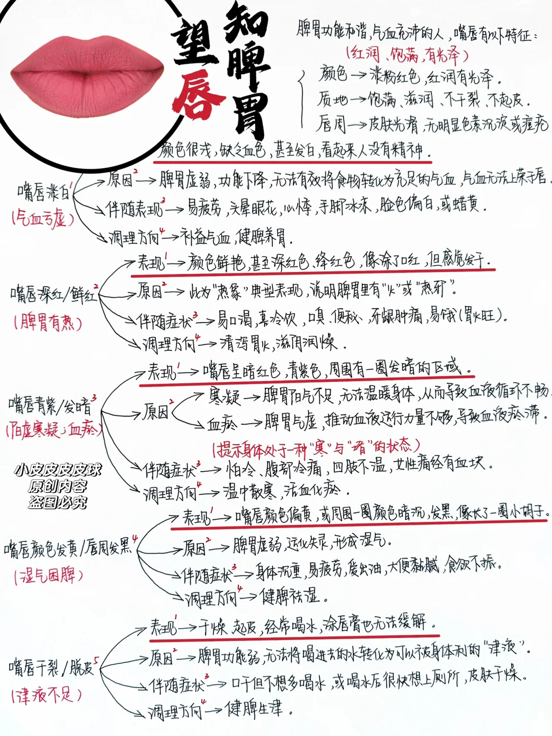 真的不是玄学！中医是如何从嘴唇颜色看出脾胃状态的？