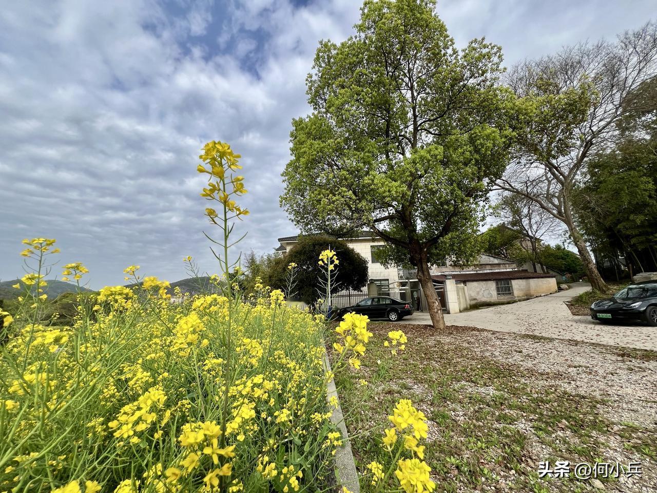 宜兴山间村落，尽是春日舒展的模样。人间烟火与山野清风在此相融，慢下来，才知寻常风