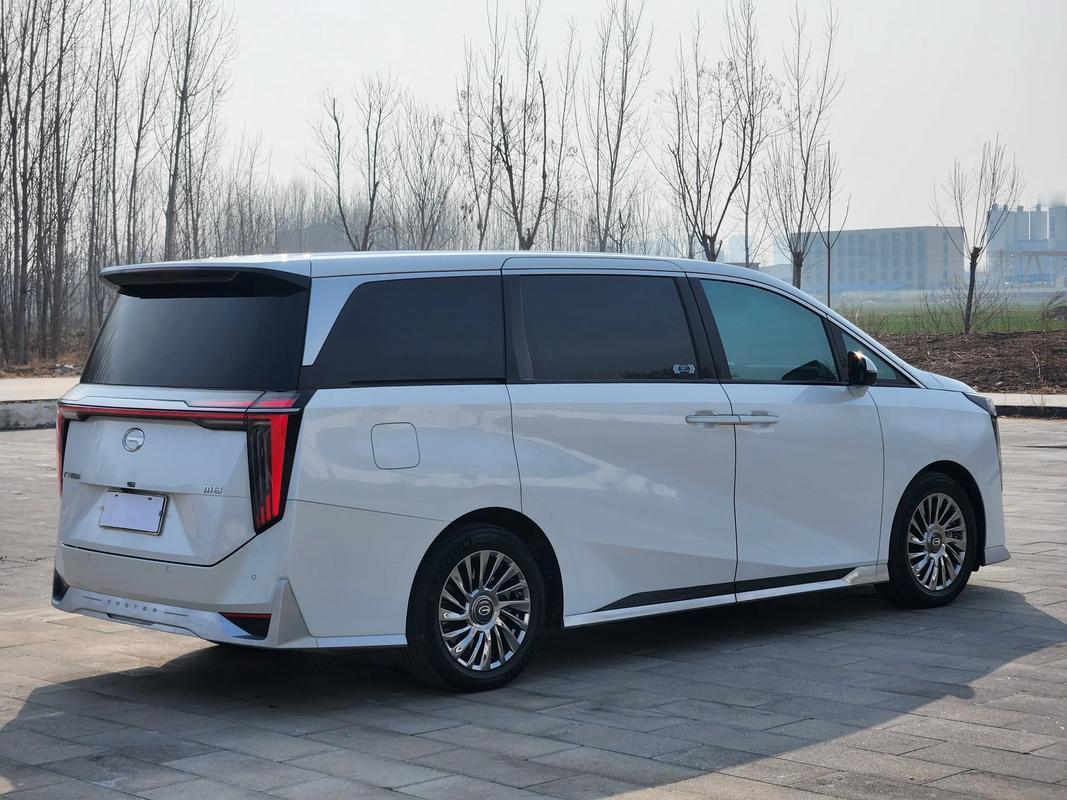 国内外MPV价格梯队排行：
 
豪华旗舰组（35万以上）
 
1. 雷克萨斯LM