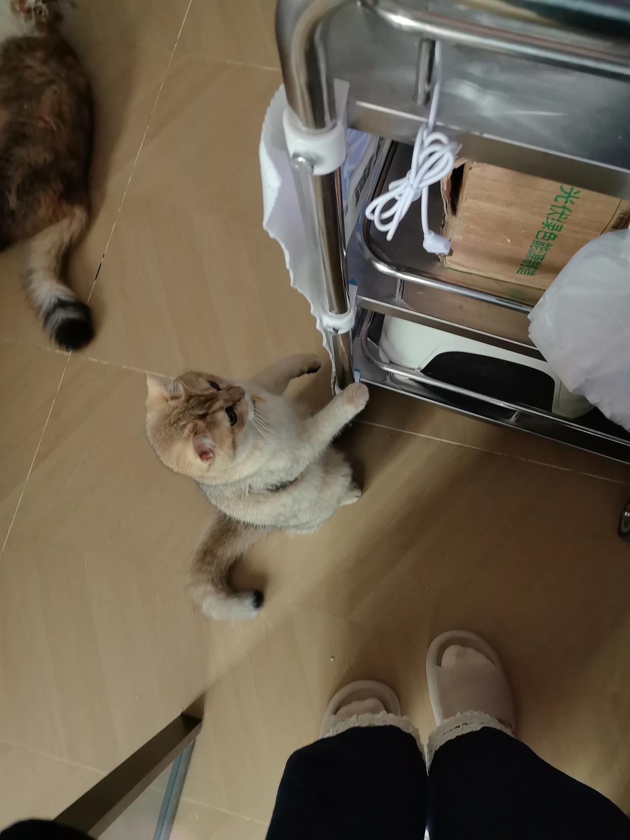 什么东西是生不带来，死不带去的搞错人伏虎v他vu柏就改错题vu比较那就不管v