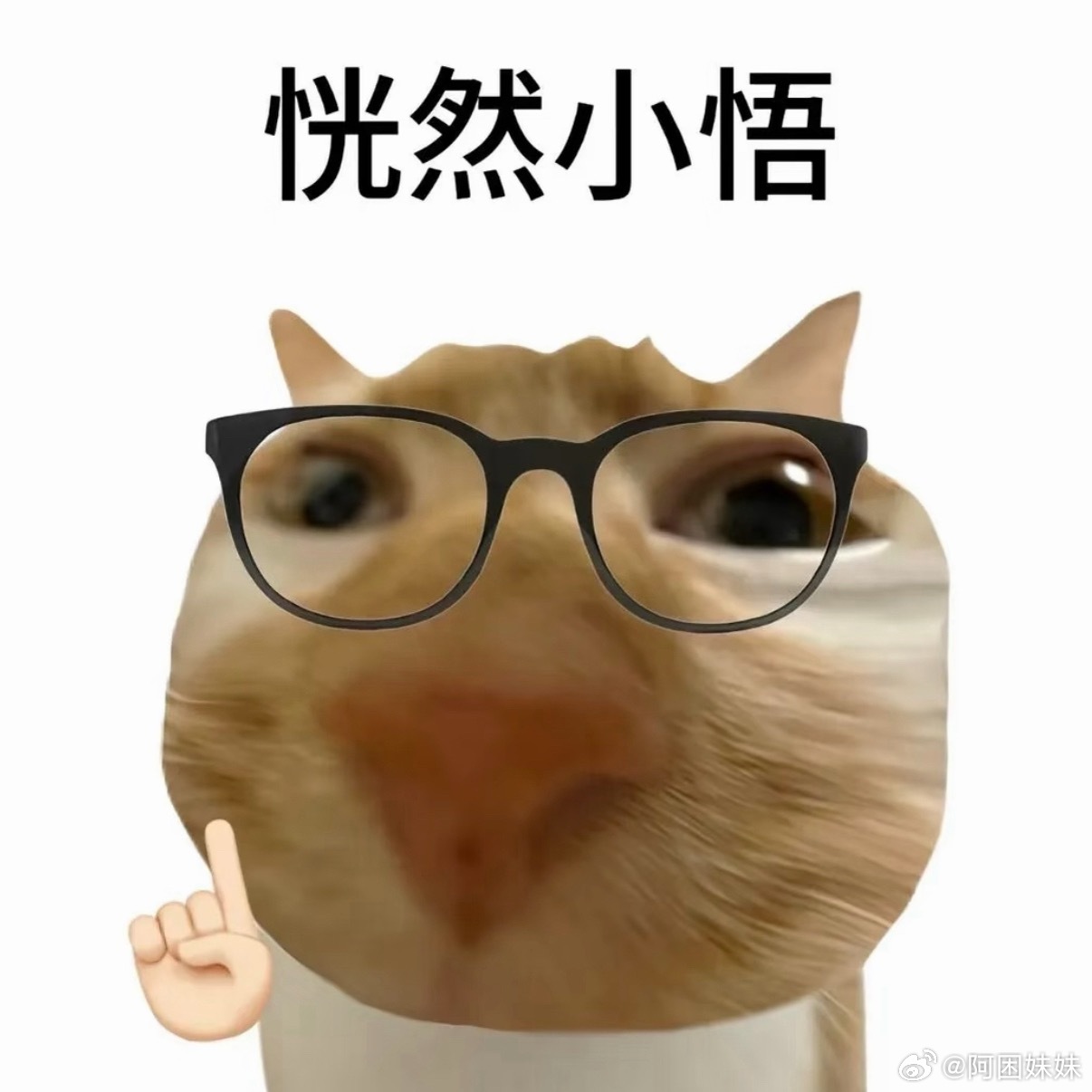啥？？向佐还有个弟弟？居然刚知道，是我太久不上网了吗，不过这名字起的确实已经很明