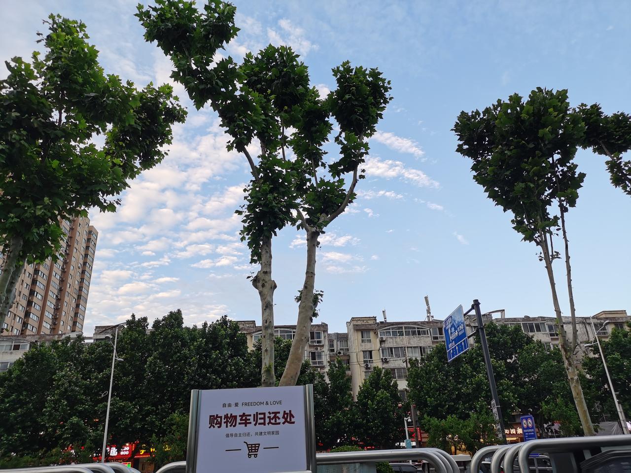 天蓝蓝，
海蓝蓝，
风大浪大不说难，
礁多滩多不说险。
战胜困难，
胜利在前。