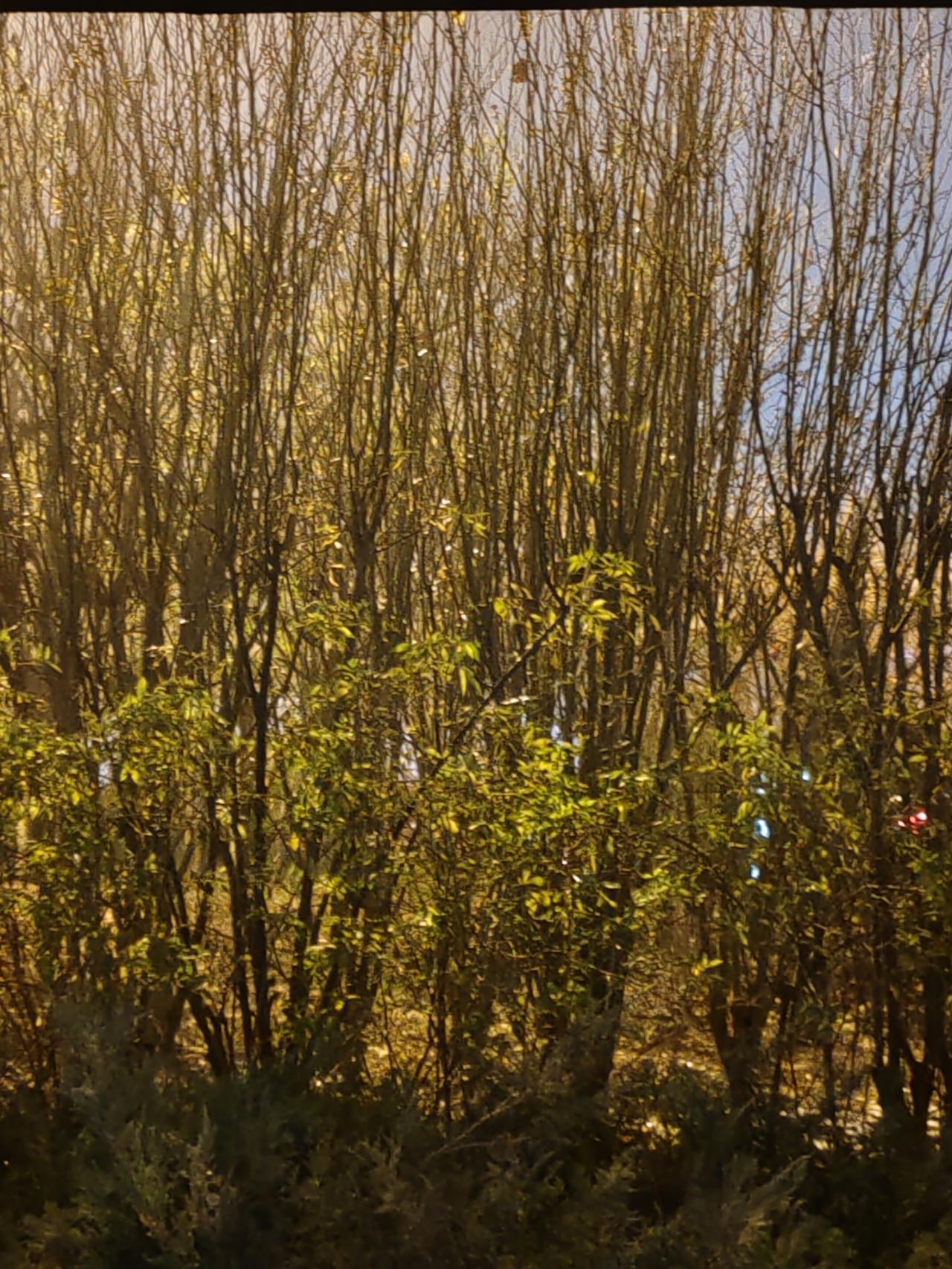 说的很好，很到位。有些业务提前跑一趟真的很有必要！就拿换身份证来说，不少人没提前