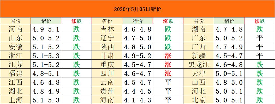 2026年5月5日猪价！假期三连涨！节后谨防再掉！
假期最后一天，假期的猪价整体