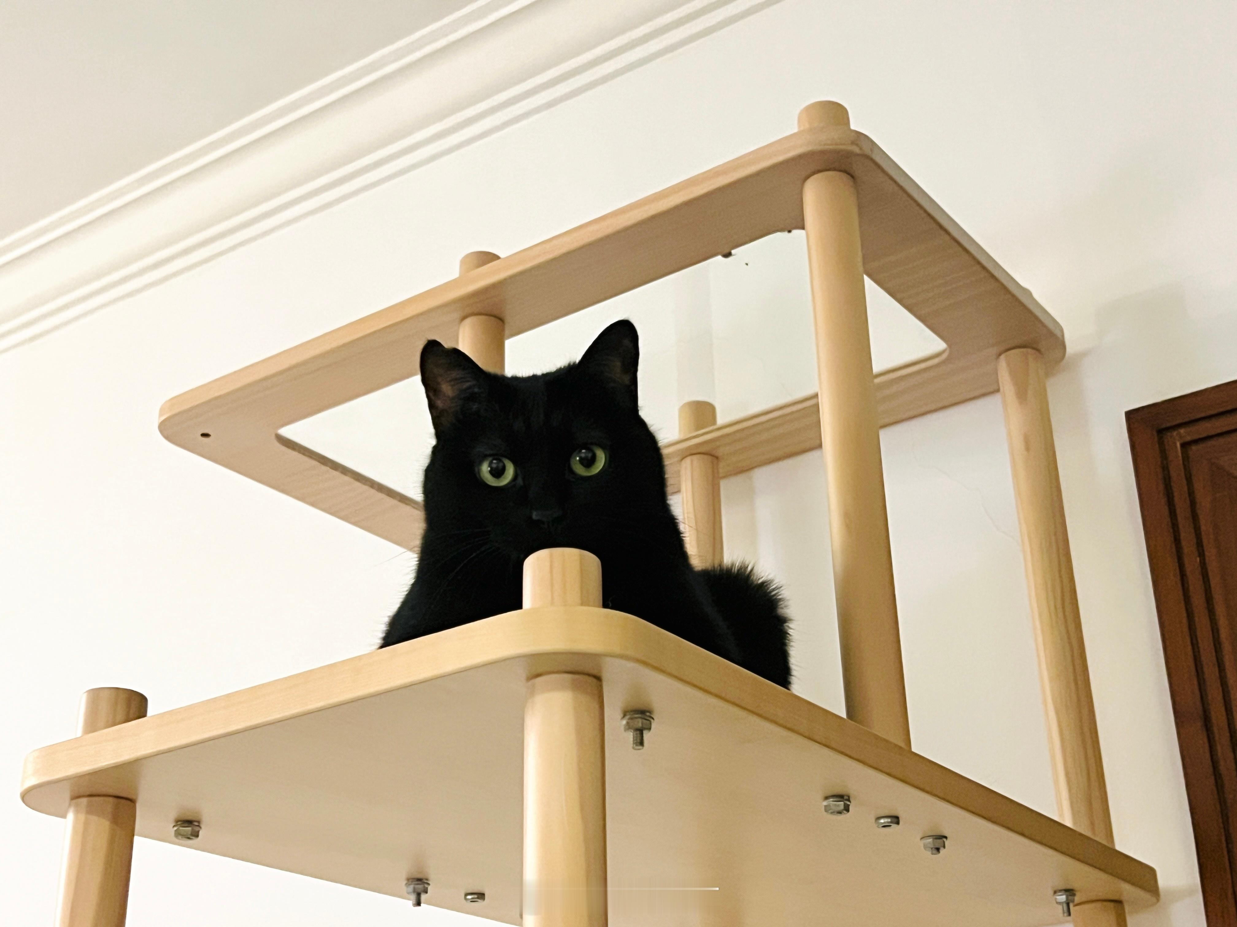 表惹一姐！#蝦蝦不可以太可愛# ​​​