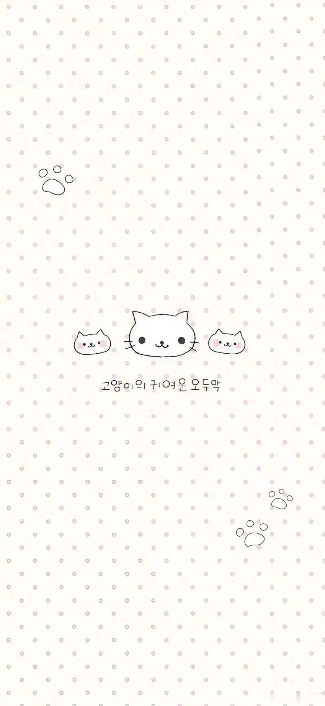 share |  韩味很重的手机聊天背景图 