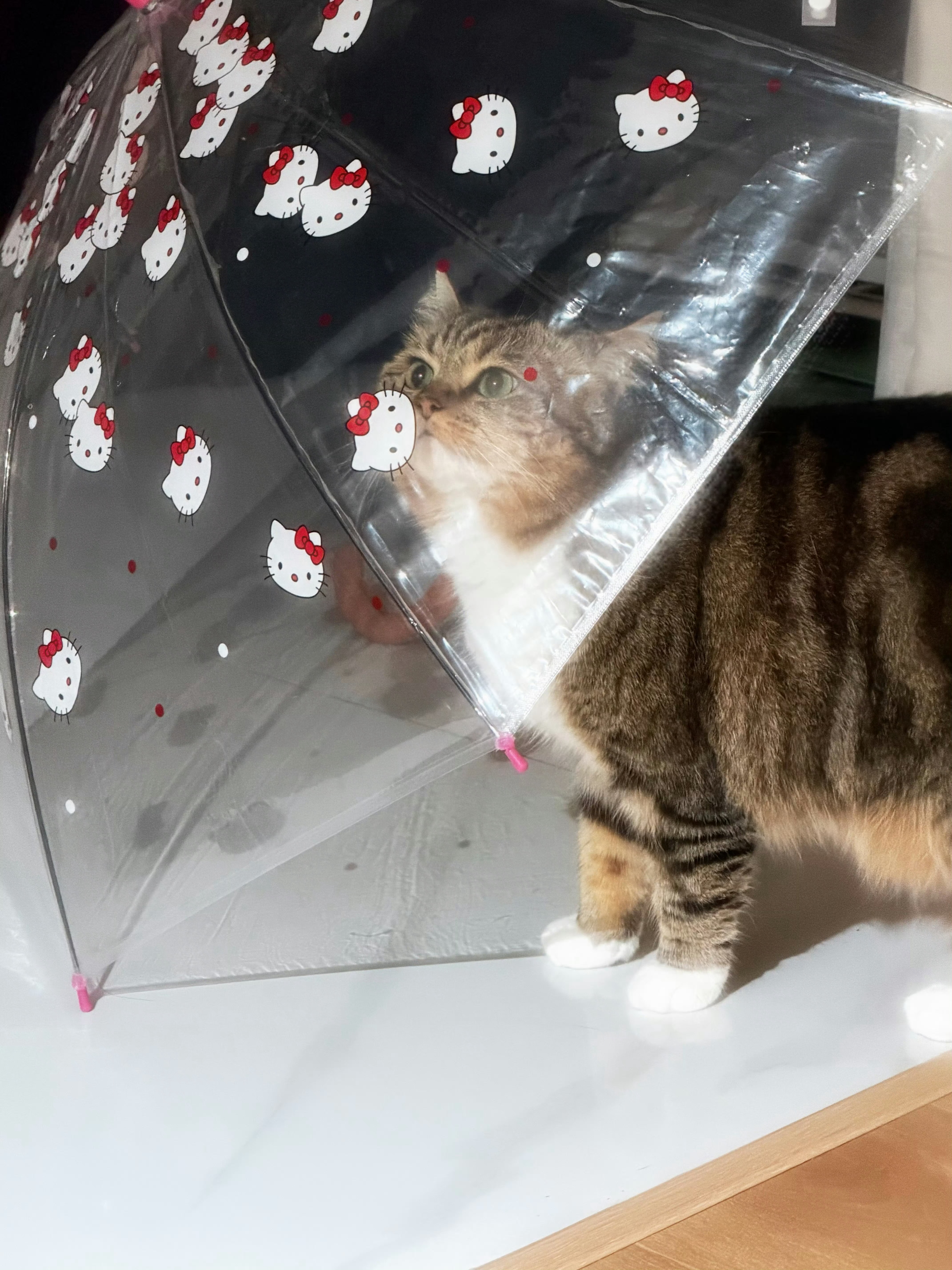 外面的风 真大啊 不过还好没下雨了一想到我和陈哥一起在上班 心里美滋滋的 
