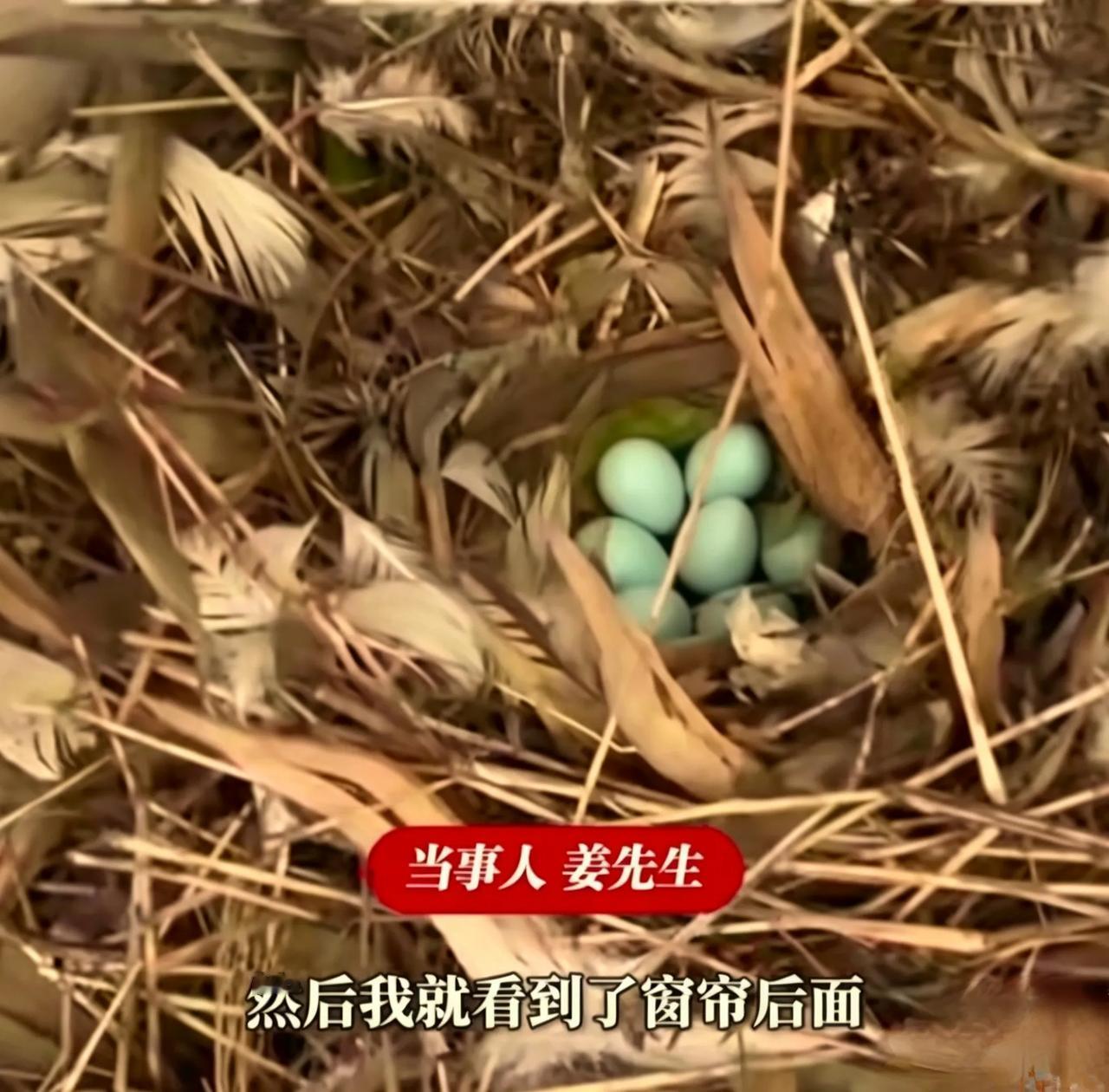 杭州一房主发现空调孔有动静，凑近一看瞬间不敢动了
 他屏住呼吸。
慢慢凑过去。