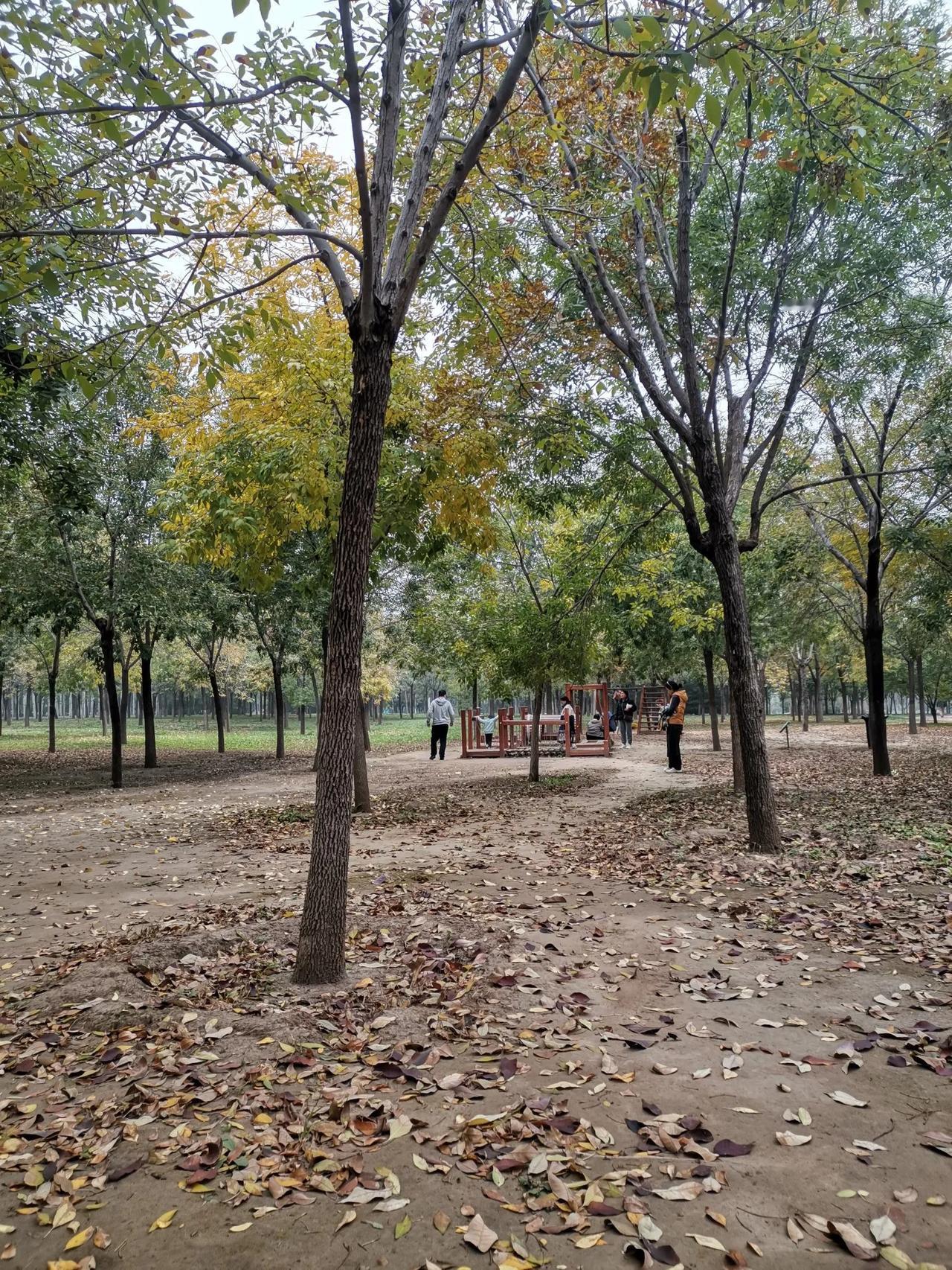 好不容易熬到周末，却要一大早起来去参加公司所谓的团建。
婆婆说：就知道占用休息日