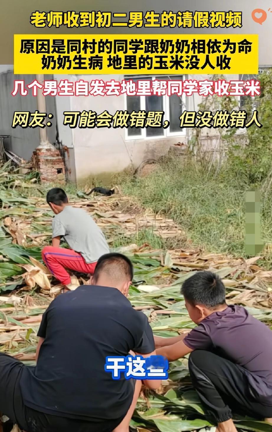 辽宁14岁男孩请假回家收玉米，隔天同学直接“空降”农田帮忙！
这波操作，比考满分