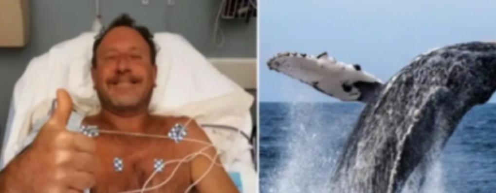 现实版“木偶奇遇记”？美潜水员被巨鲸吞下后逃生，真相令人深思
 
想象一下，上一