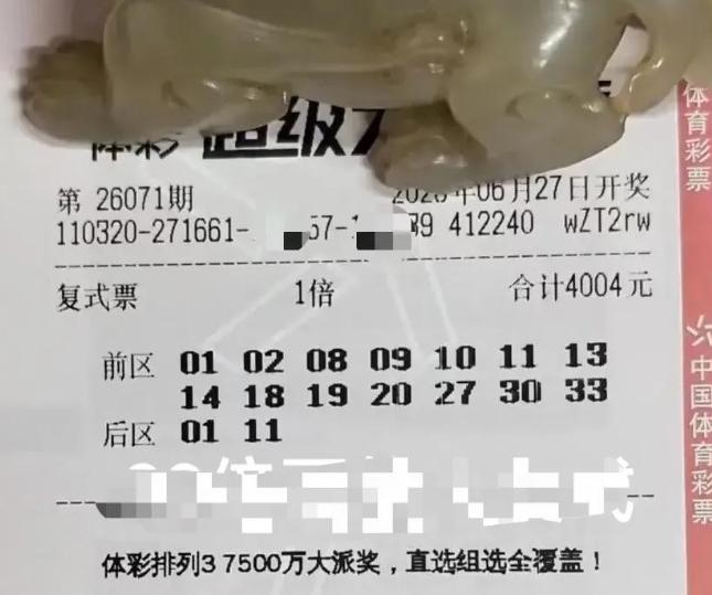 果然是惨不忍睹。今晚开奖的大乐透，貔貅哥选了14+2，花费4004元，结果16个