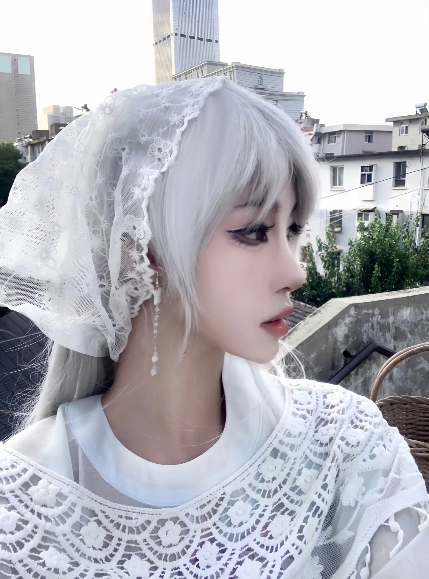 兔子的本质是流浪
