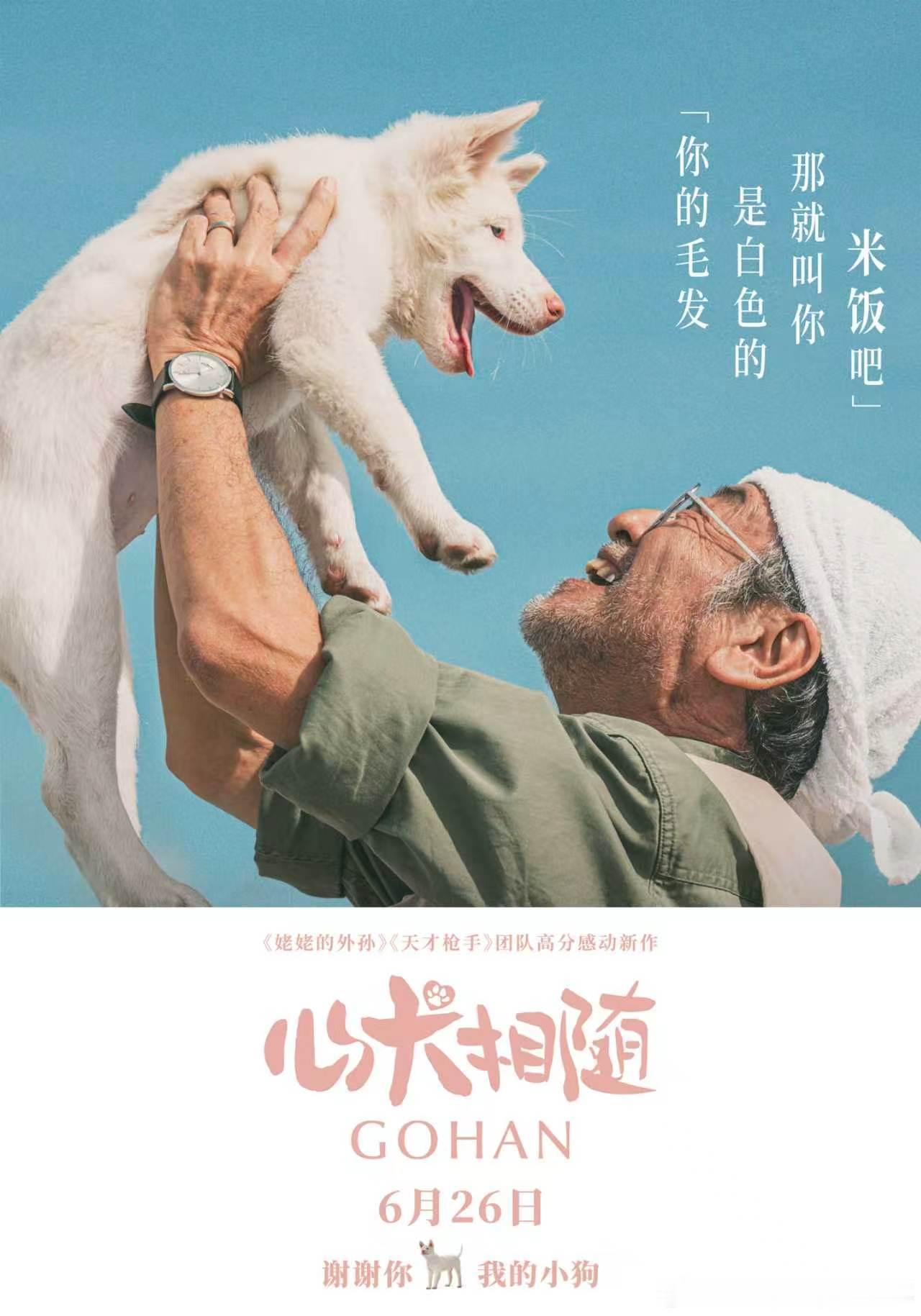 电影心犬相随太懂养狗人了 泰国高分治愈系电影《心犬相随》释出新海报！粉鼻头软萌流
