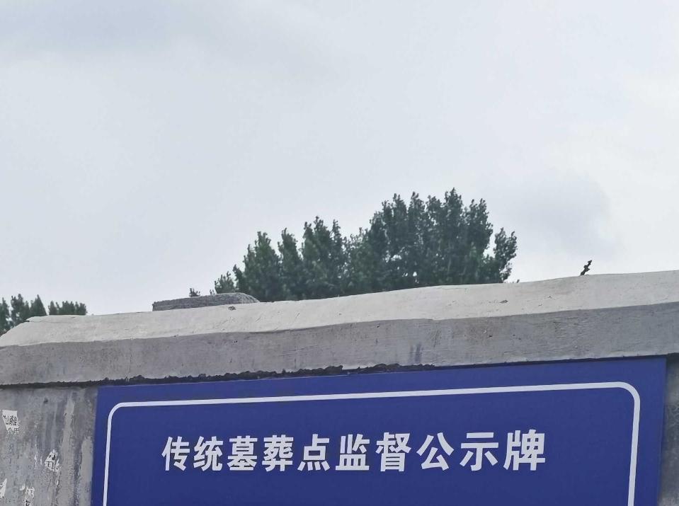 近日，即墨区大部分村庄的公墓都悬挂了一块传统墓葬点监督公示牌。公示牌的主要内容就