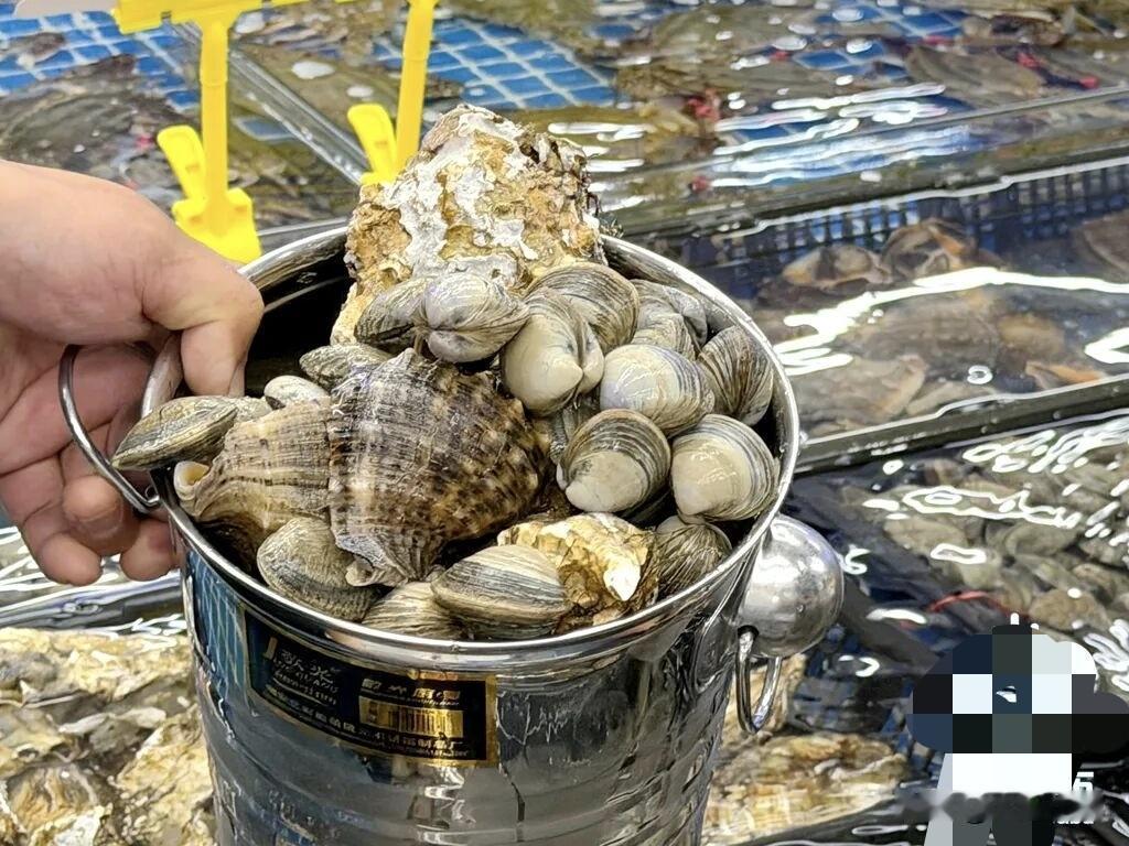 大连开海啦！9月1日第一网海鲜直奔你碗里，这攻略太顶了！

盼了大半年，咱大连银