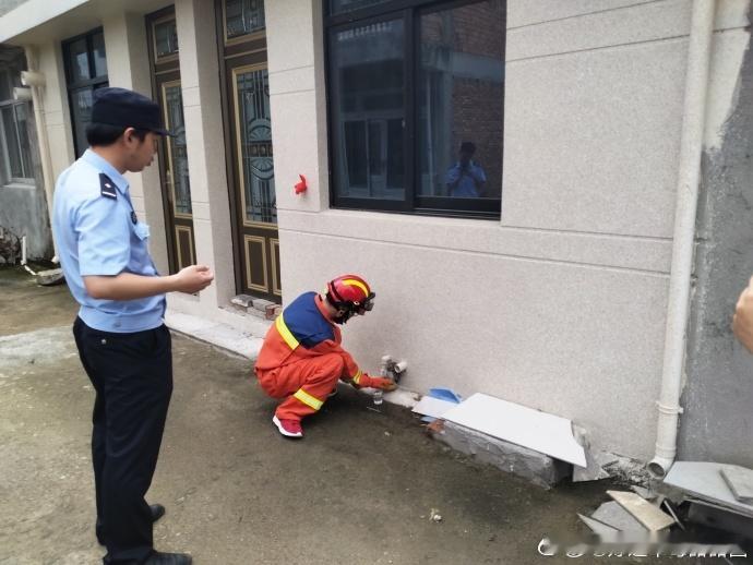 一场暖心接力让台州受伤萌禽重返自然怀抱热心市民发现受伤野生鸟类后及时上报，林业、