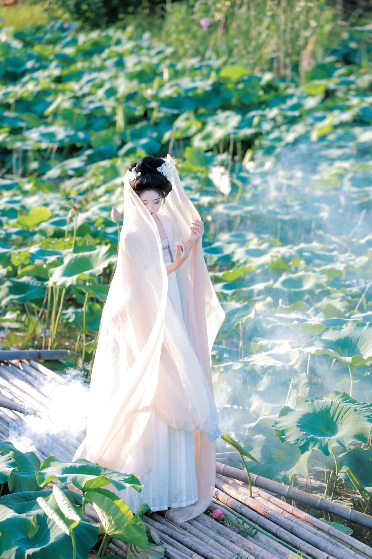 “惟有绿荷红菡萏”拍上白月光了 摄/后：我 出镜：  💄：  场地