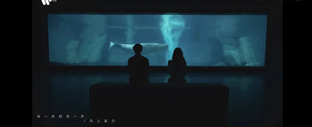 看完白鹿新mv好像看了一部酸涩的青春电影😭白鹿饰演的女主应该是死后短暂回魂😭