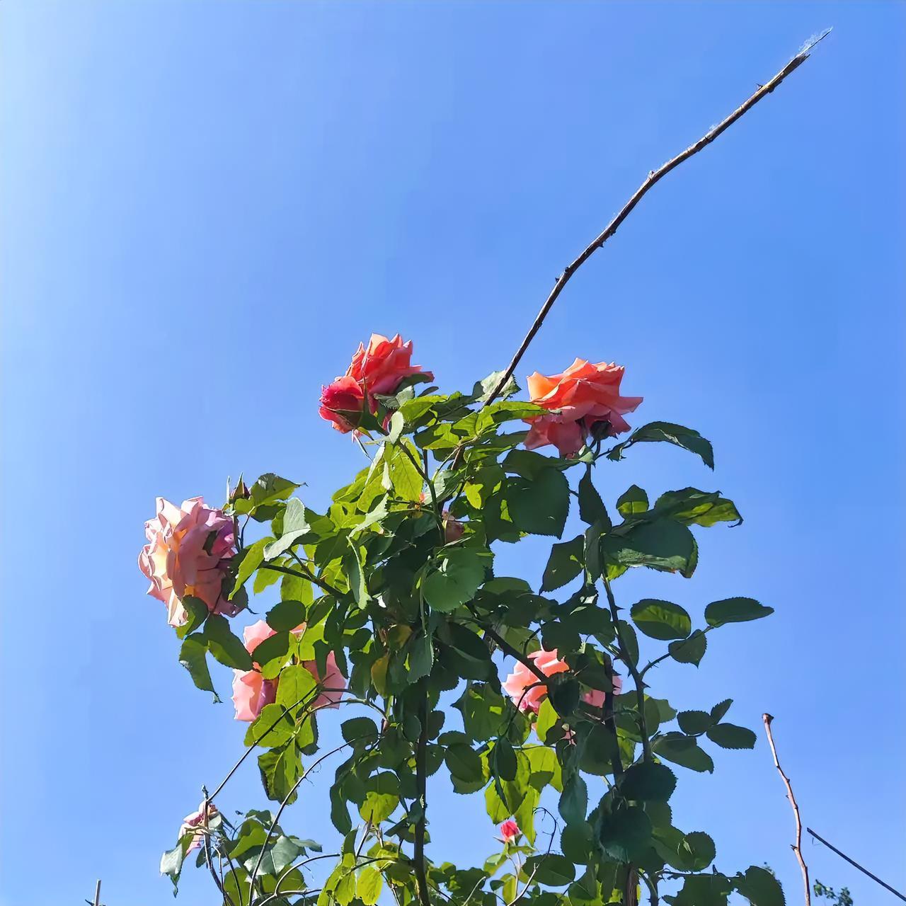 你有没有过这样的时刻？
明明是一片好心，说出的话却被人曲解误会；
明明耐着性子认