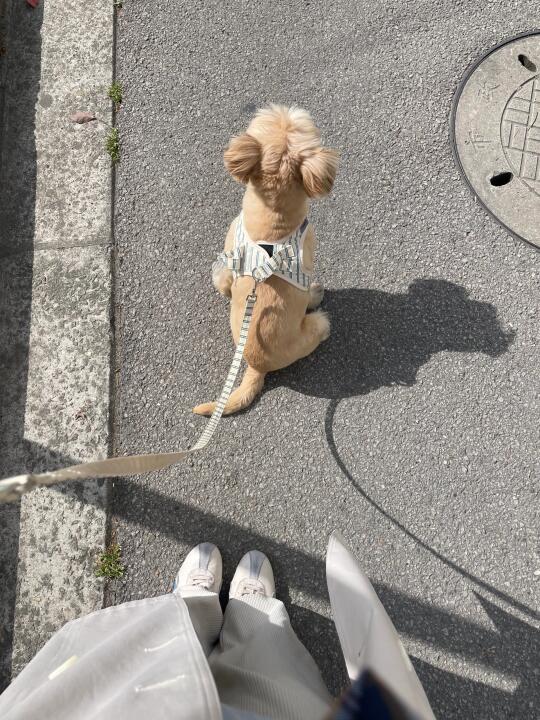 可以呆一下午
