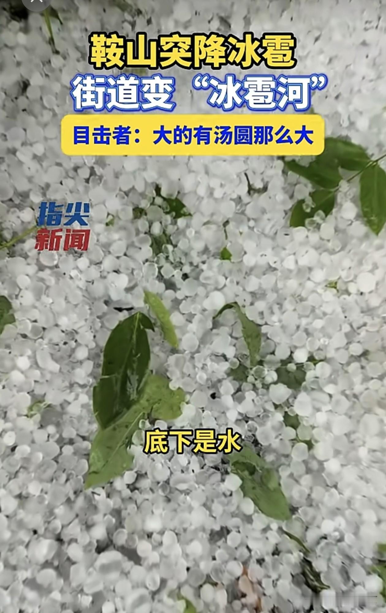 鞍山遭遇强对流天气，汤圆大小冰雹倾泻，街道化作冰雹河！
 
6月9日下午两点半左