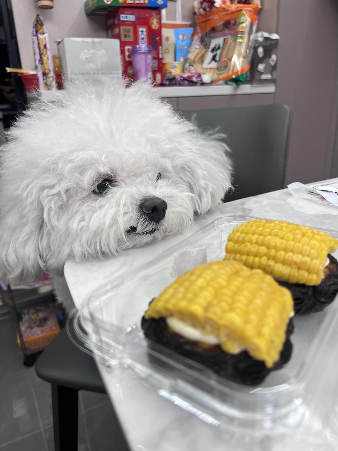 很想吃麻麻的玉米蛋挞