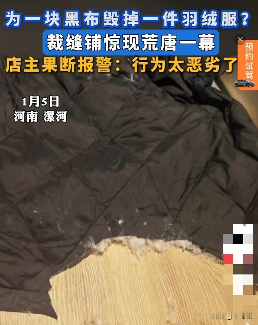 真的是林子大了什么鸟都有，见过贪小便宜的，没见过这么离谱的！为了一块黑布，居然直