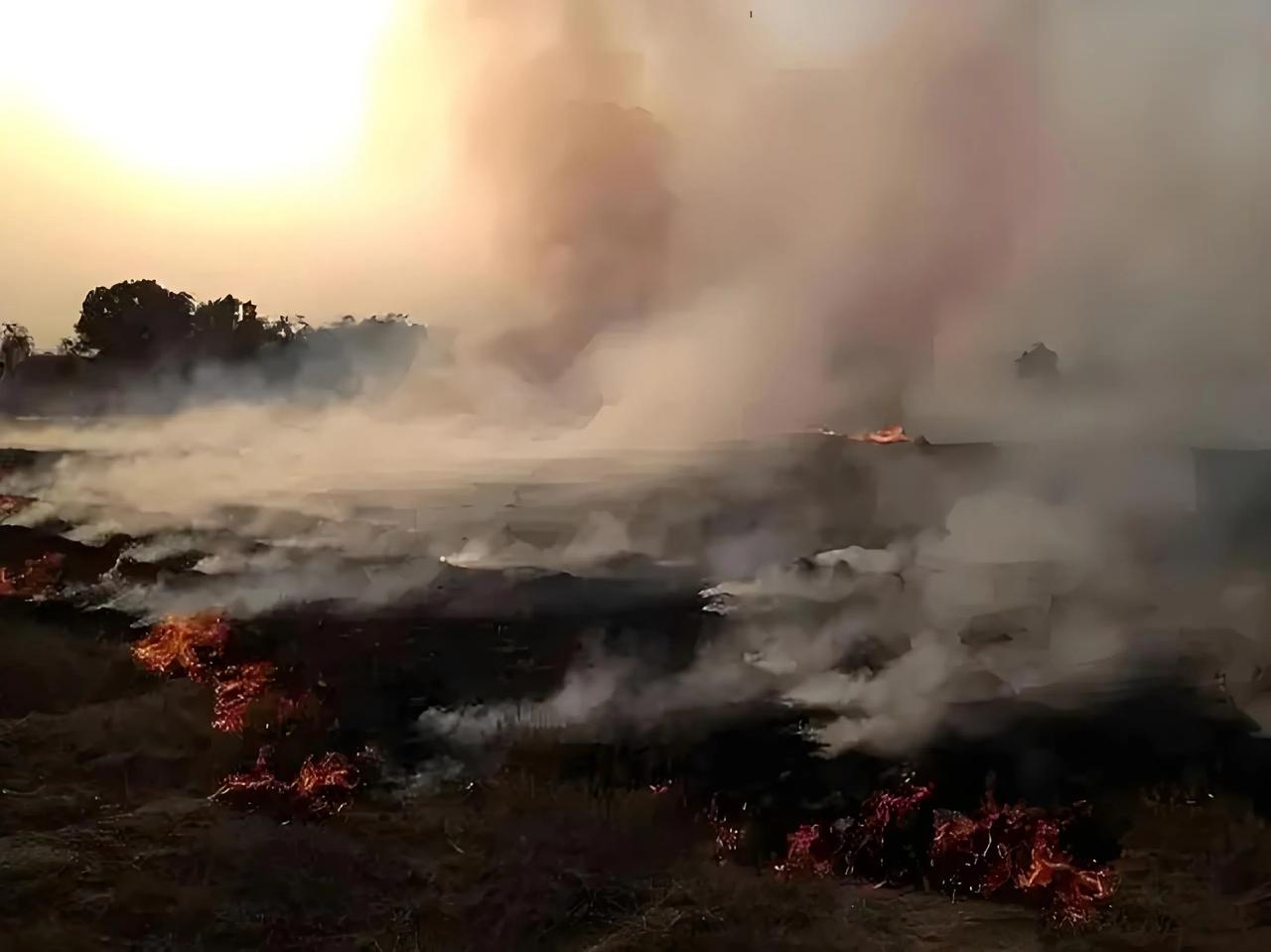 湖南省8个县因为控制秸秆焚烧不力，被环保部门约谈了！日本在燃烧秸秆，美国在燃烧秸