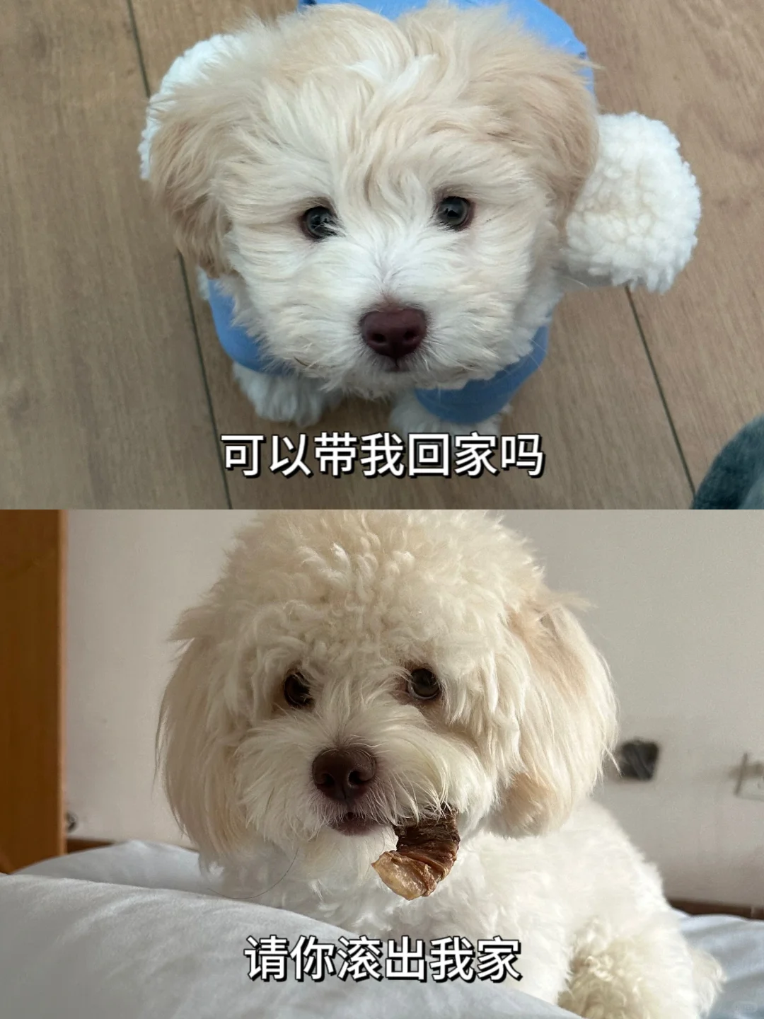 说多了都是泪💧