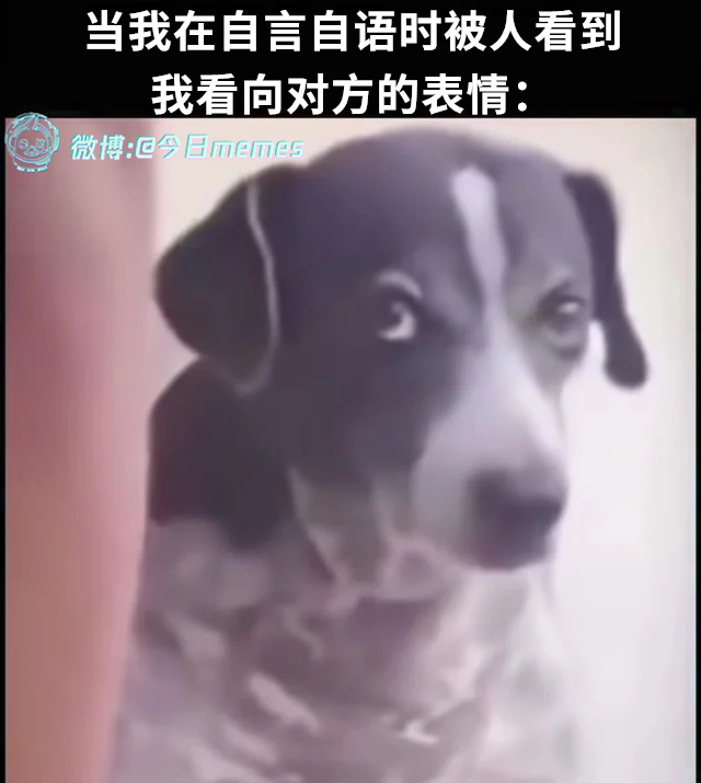 你（9gag）今日meme今日memes