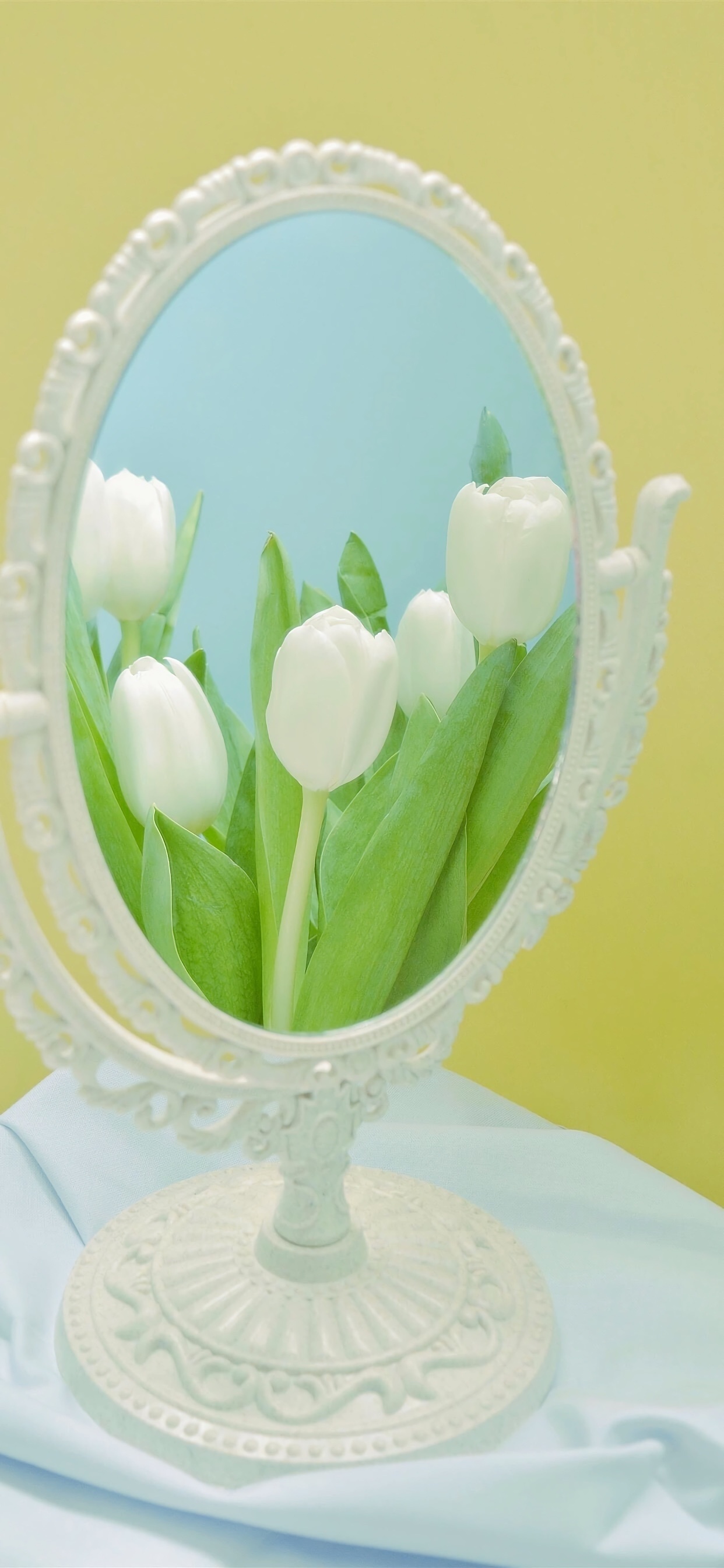 20240312日运指南乙亥日今天刚好还是植树节啊，但是从日课的状态上来看，这天