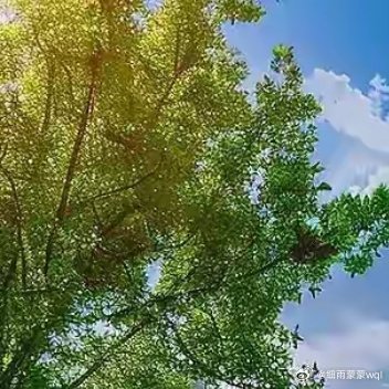 人生就像车站，来去匆匆。有喜有悲，有聚有散。用生命买票，用时光做运载。我们都是无