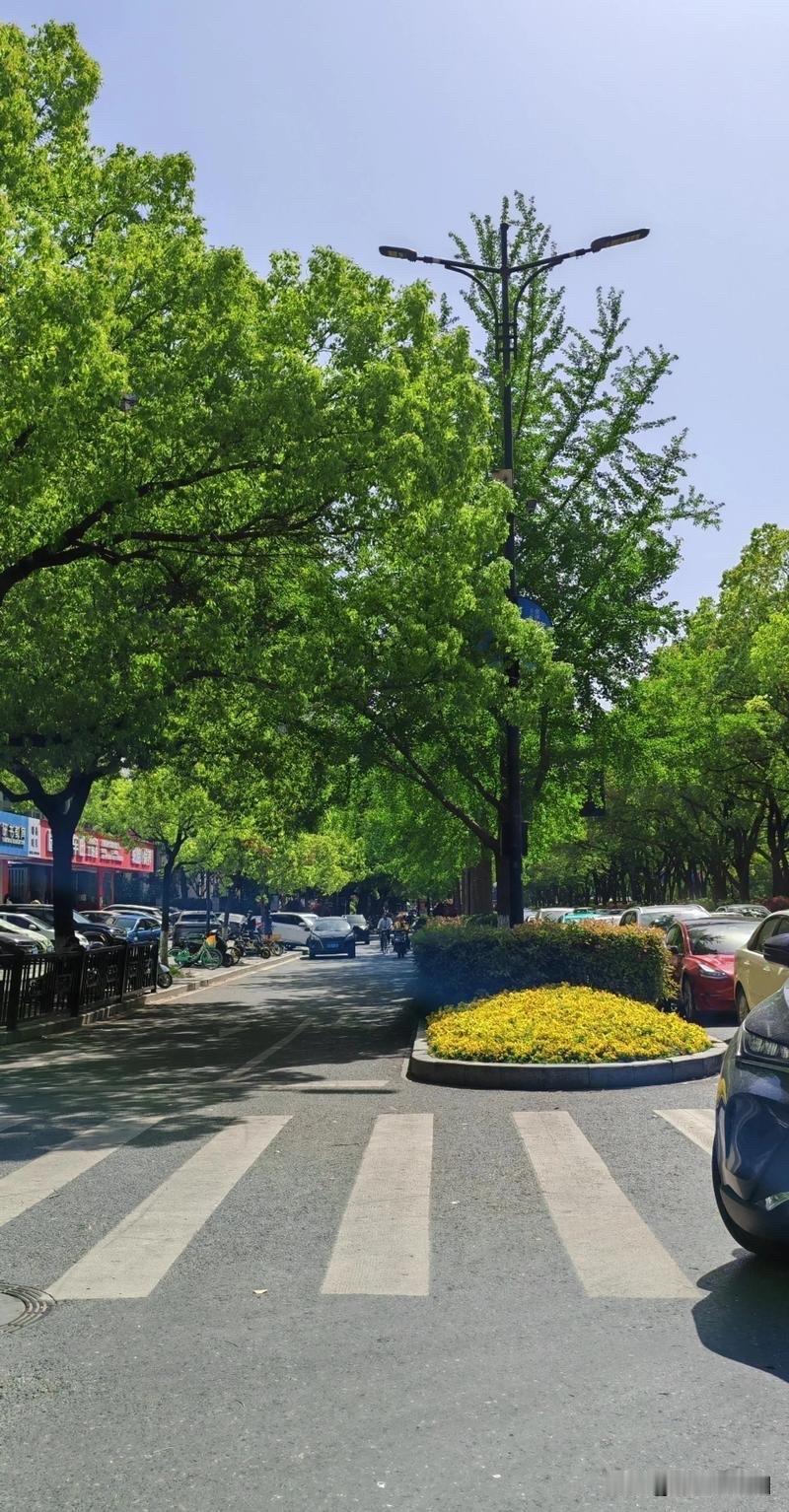 多位市民反映，
杭州突然传出一声巨响，
还伴随一些震动，
当地有关部门用10个字