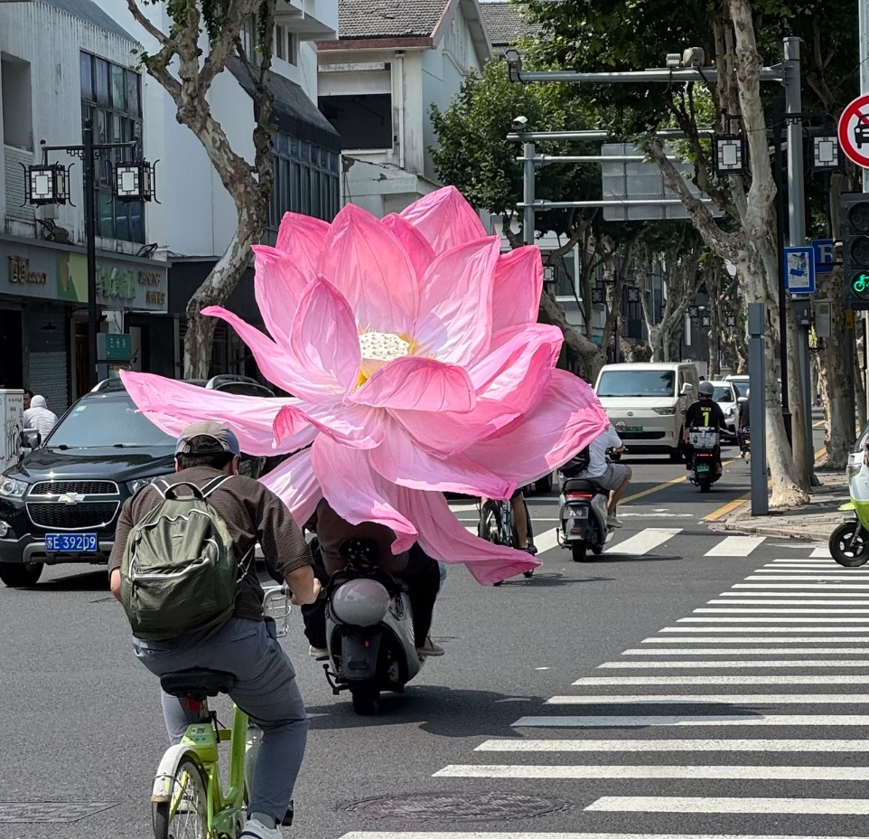 莲花怎么到街上了 