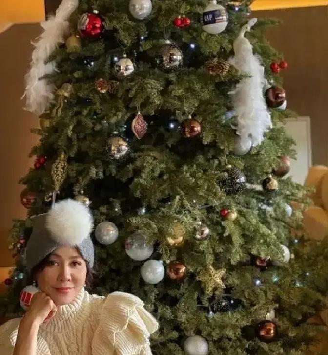 花50万买棵圣诞树，每年再烧8万电费——刘嘉玲的“仪式感”，让全网吵翻了。
这棵