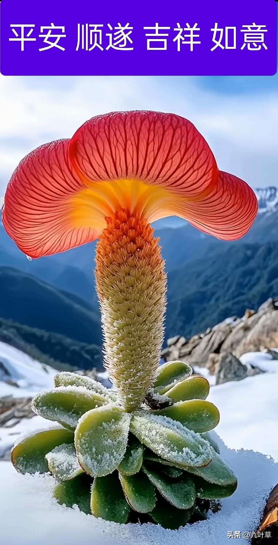 就拿《春晚》来说吧，1983年第一届春晚，那个条件不就是现在某小区里面KTV吗？