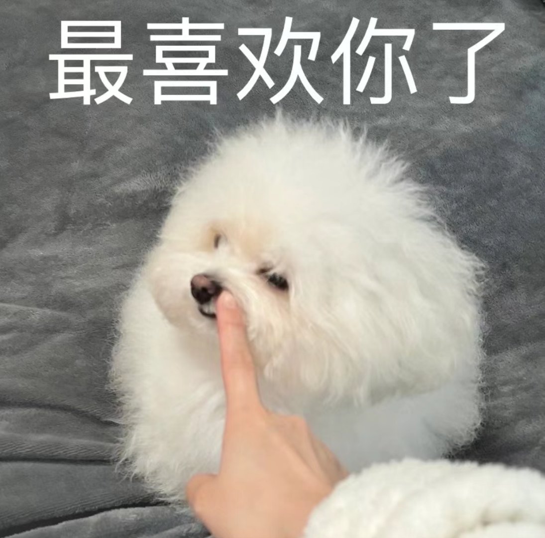 人是会变得，小狗也会🐕最开始和主人在一起时，特别喜欢晚上戴着项圈，链子攥在他手