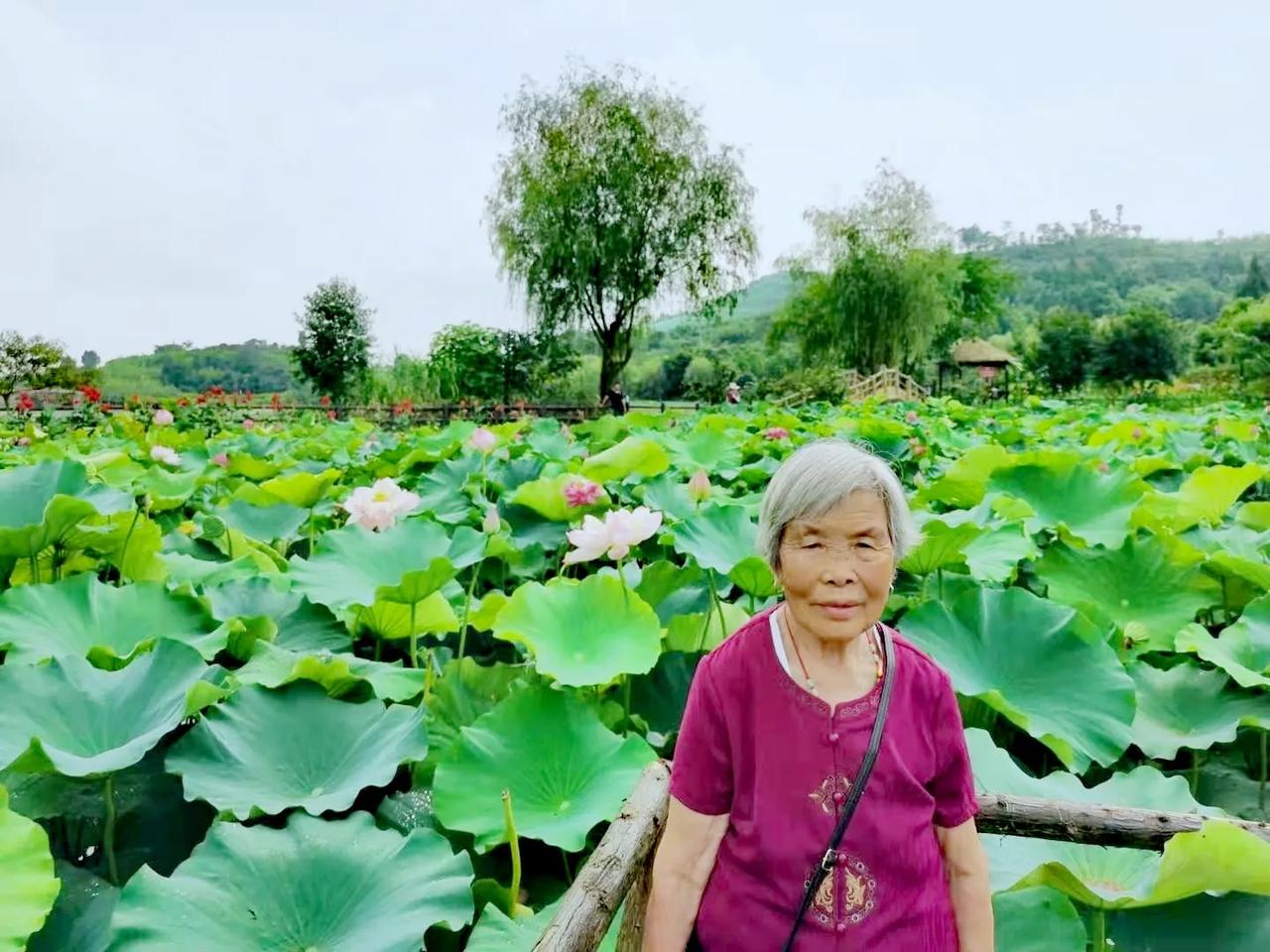 #可以分享一张田园风光的照片吗#这是我老家铜梁的荷塘，母亲的一张留影。铜梁知道吗