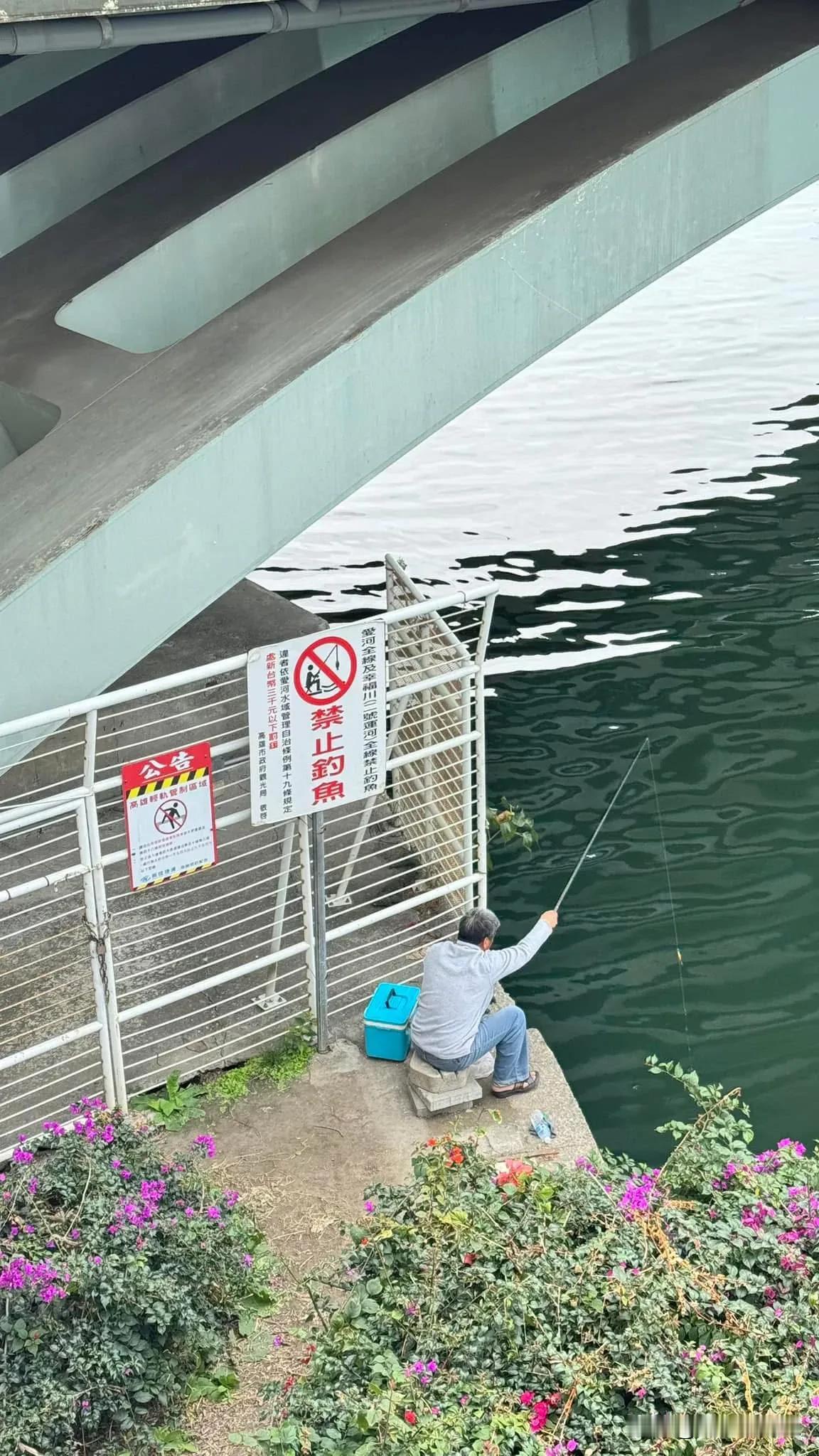 万能生活指南禁止钓鱼🎣