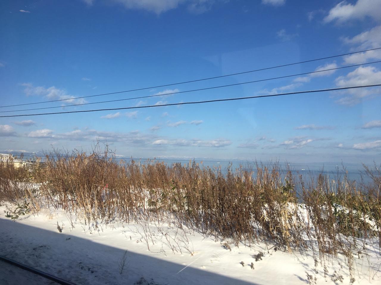 诸葛亮博学多才，天赋和环境缺一不可。他出身书香门第，父亲诸葛珪、祖父诸葛玄都是名