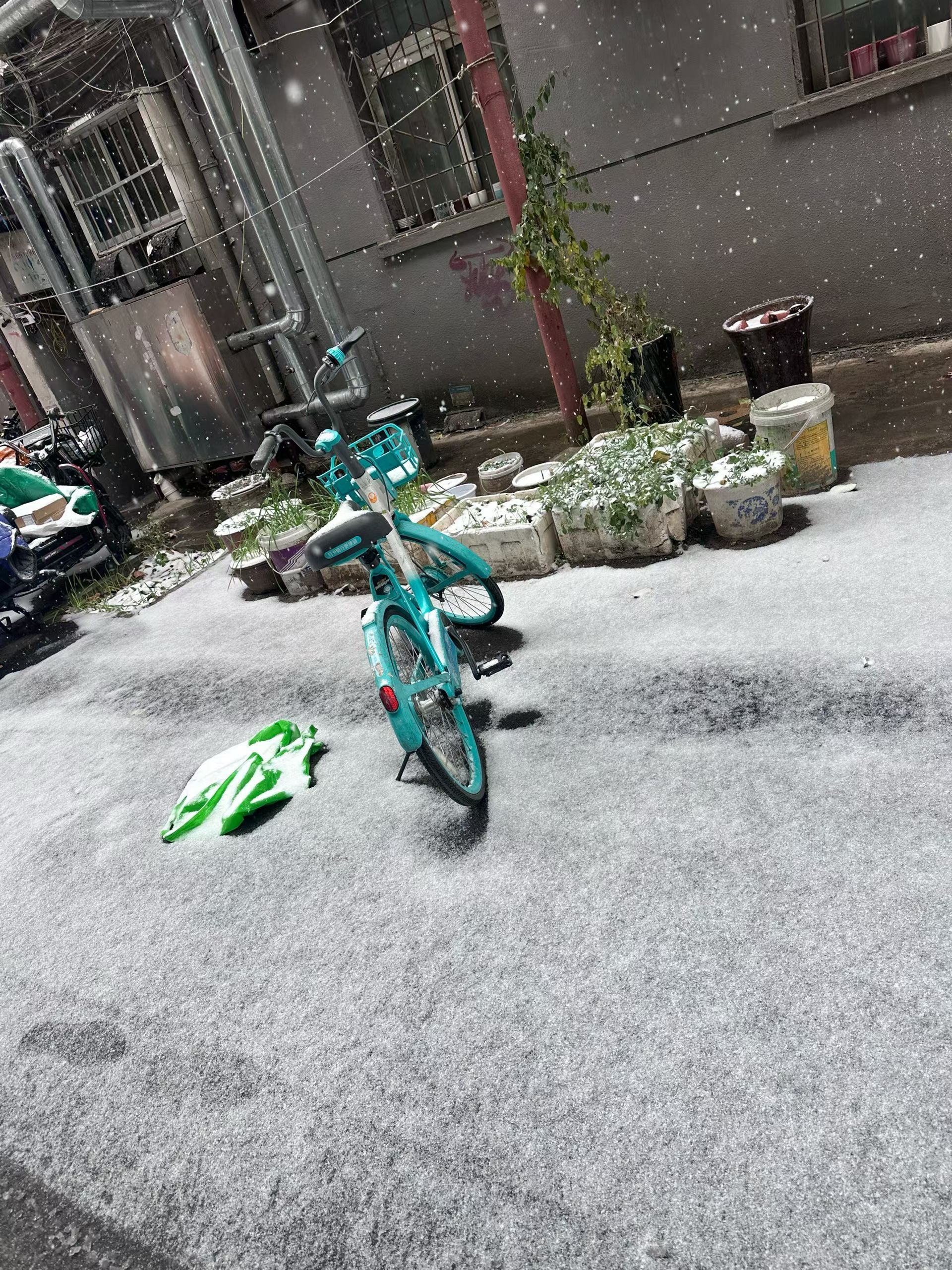 也是看上初雪🌨️了 