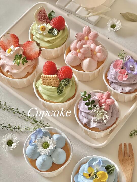 🌸🍃春日花花奶油纸杯蛋糕🧁 春游安排！