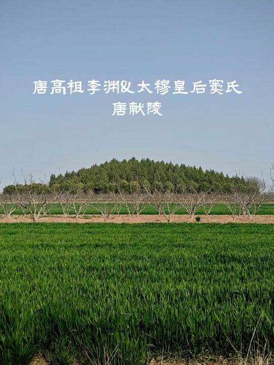 唐高祖太武皇帝李渊献陵