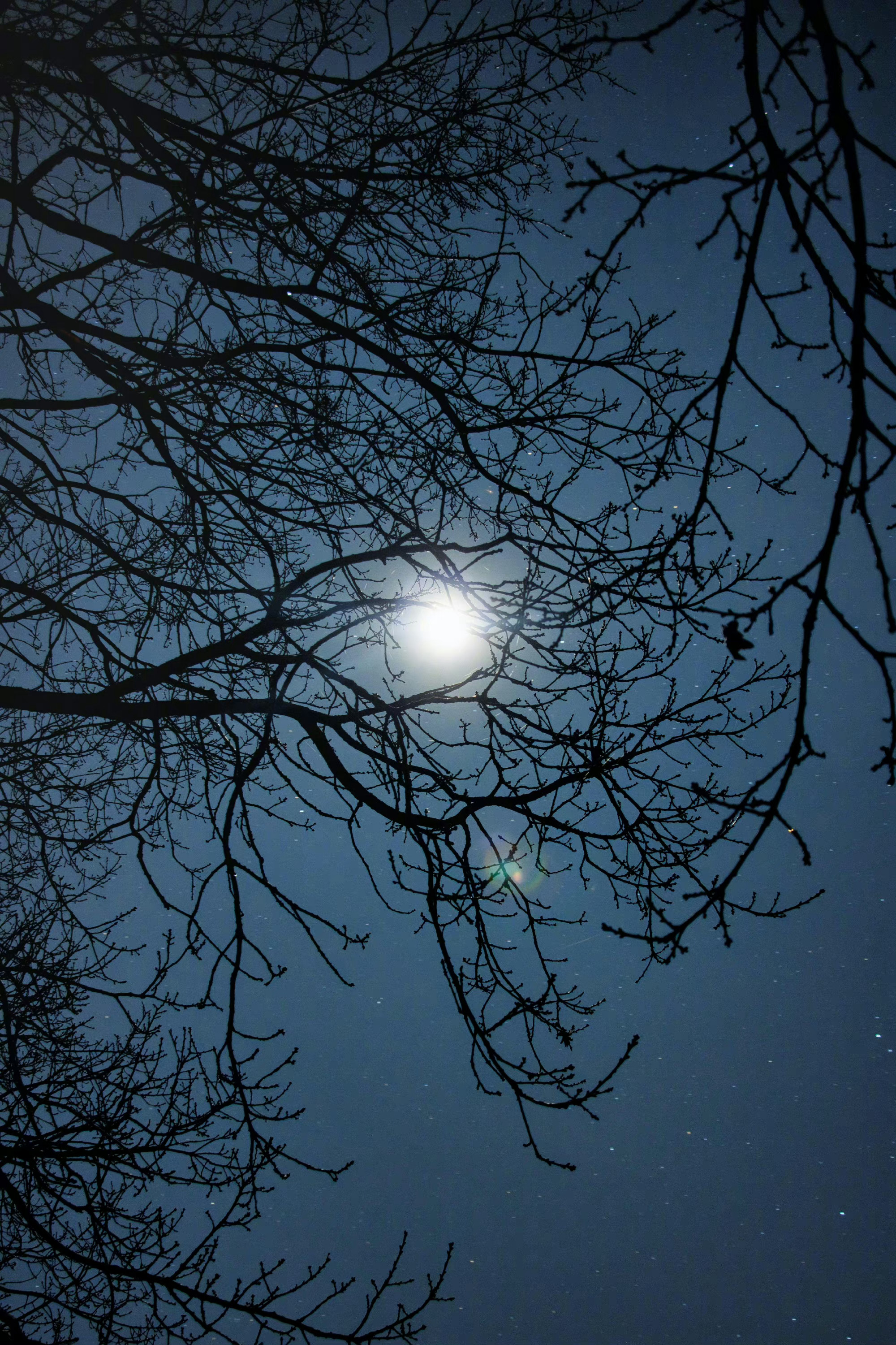 “亲爱的小孩，请你先自己变强大吧，不要活在世俗的耳语中，要活在热爱里。”  ——